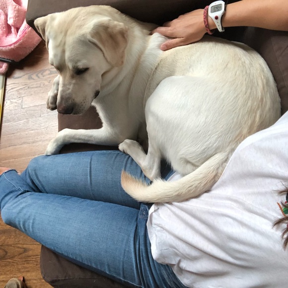 Meet your Posher, Cassie - Picture 3 of 4